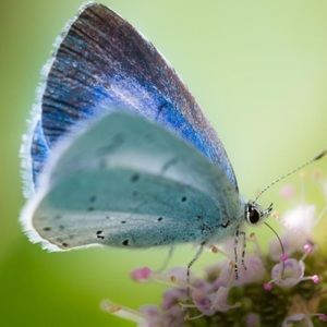 Meet your Posher, Diego